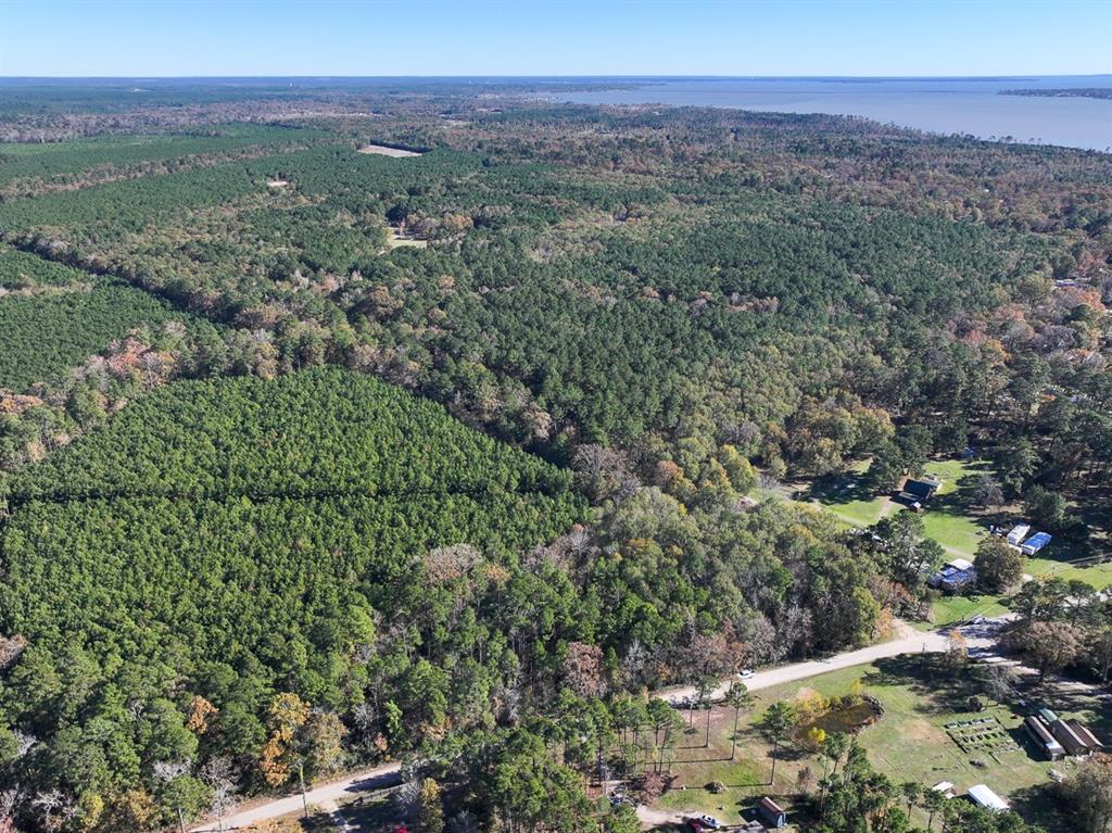 Camp Branch Road, Trinity, Texas image 7