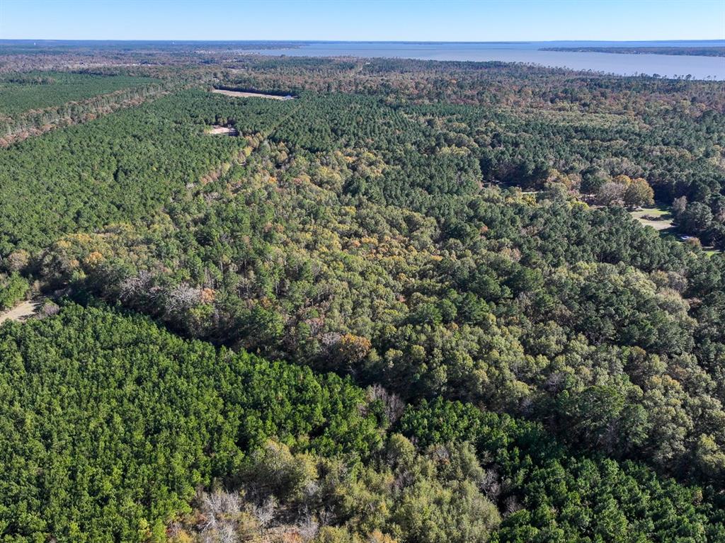 Camp Branch Road, Trinity, Texas image 13