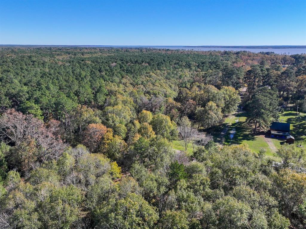 Camp Branch Road, Trinity, Texas image 20