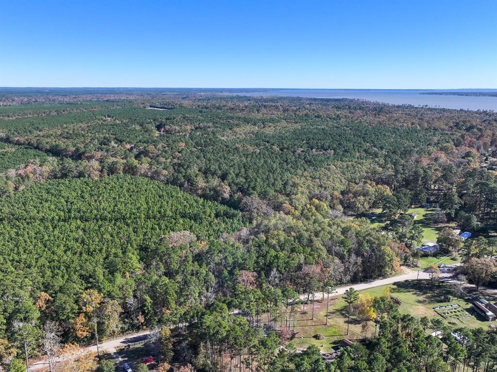 Camp Branch Road, Trinity, Texas image 10