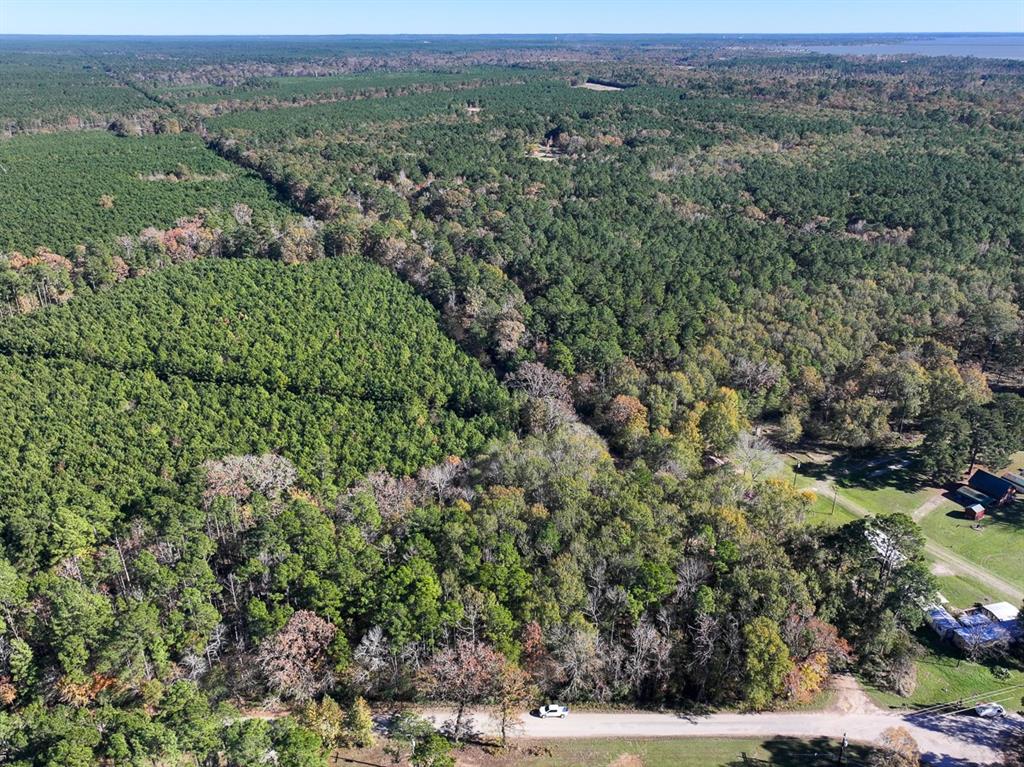 Camp Branch Road, Trinity, Texas image 1