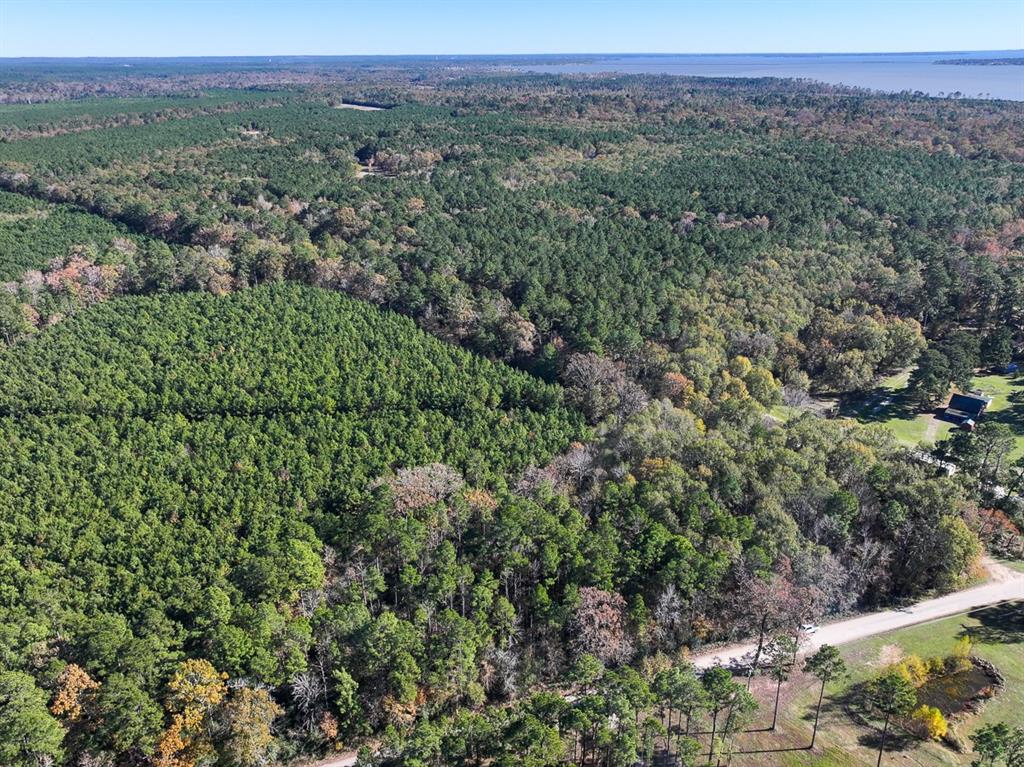 Camp Branch Road, Trinity, Texas image 6