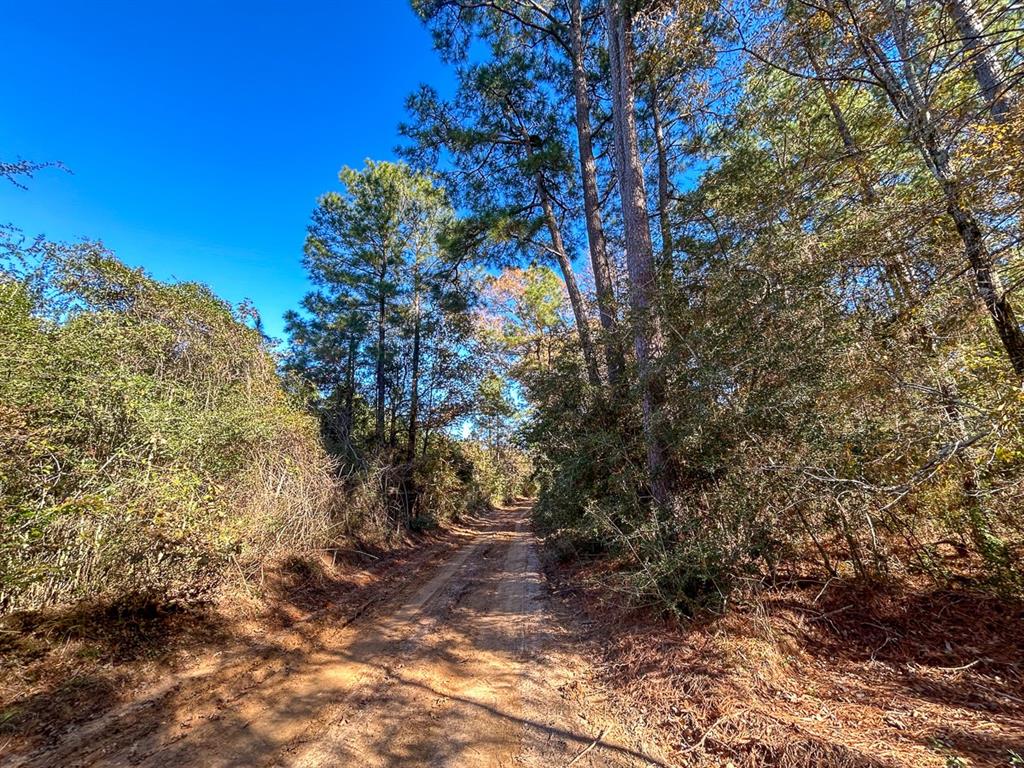 Camp Branch Road, Trinity, Texas image 29