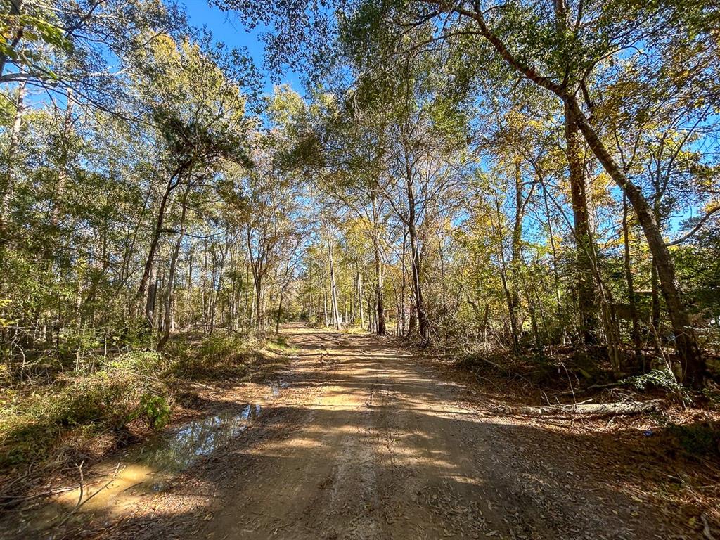 Camp Branch Road, Trinity, Texas image 24