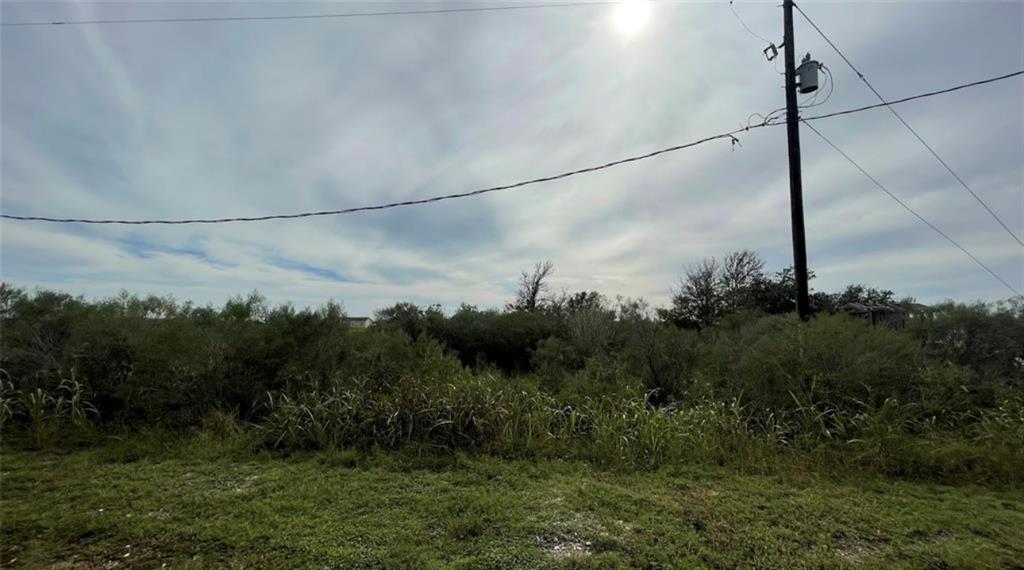 Bastrop Street, Angleton, Texas image 2