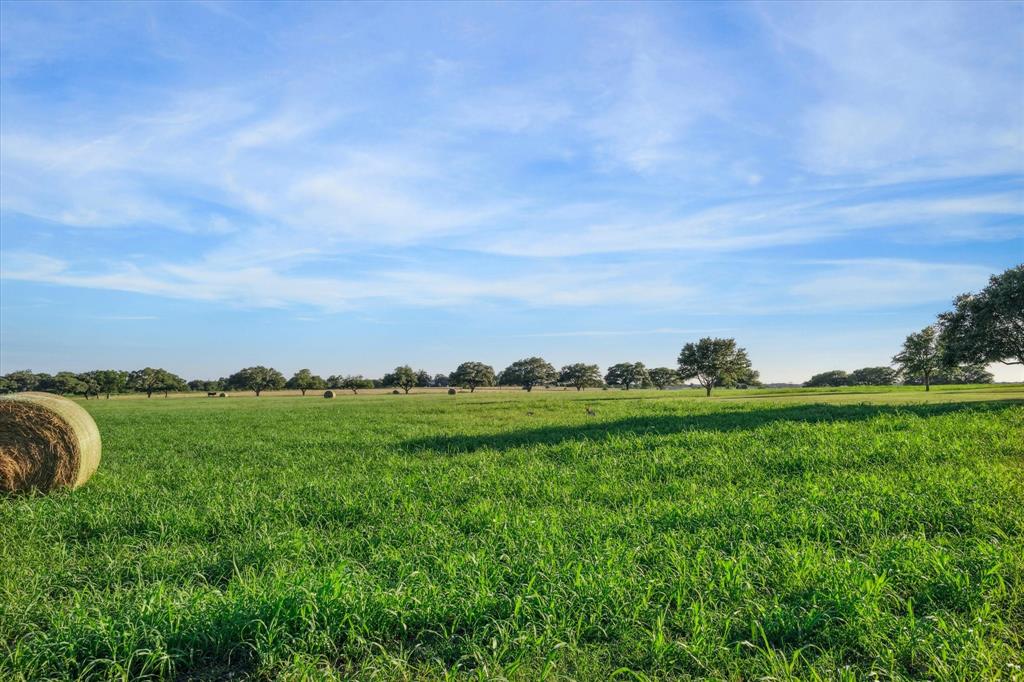 2727 Leonhardt Road, Round Top, Texas image 39