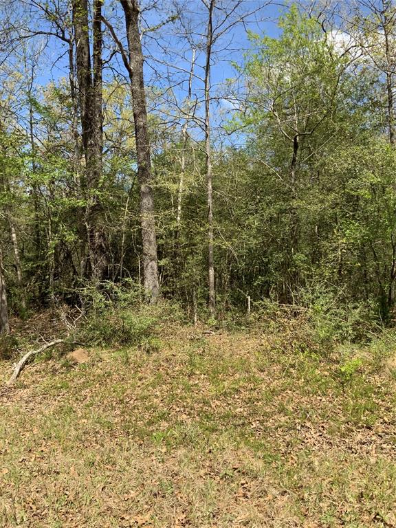 157 Foyt Drive, Livingston, Texas image 1