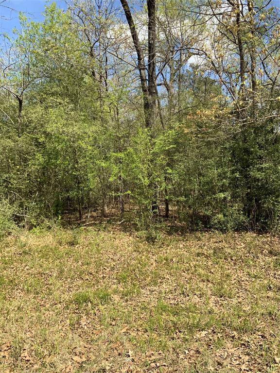 157 Foyt Drive, Livingston, Texas image 5