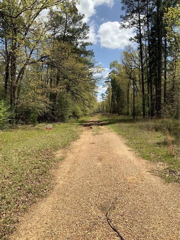 157 Foyt Drive, Livingston, Texas image 6