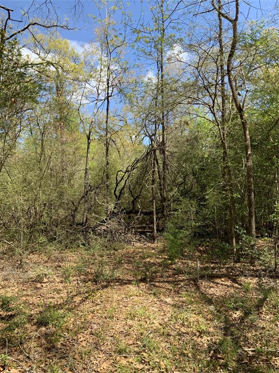 157 Foyt Drive, Livingston, Texas image 3