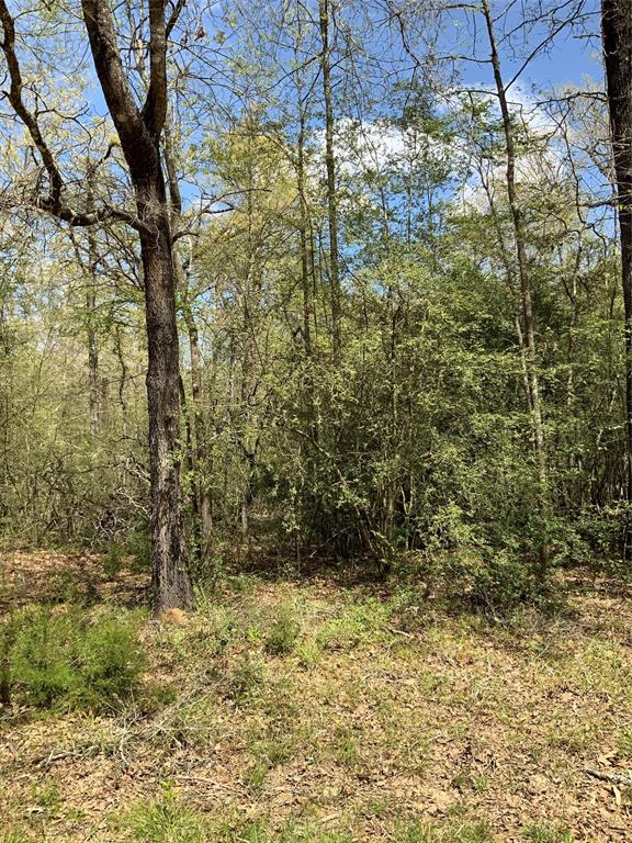 157 Foyt Drive, Livingston, Texas image 2