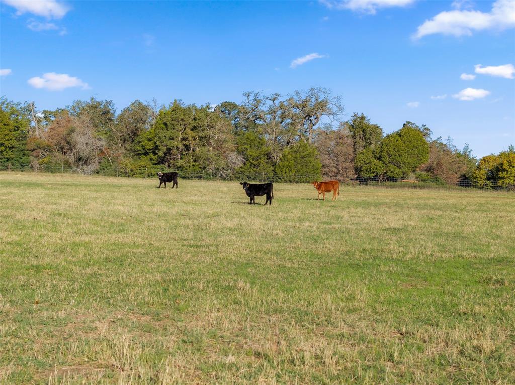 9643 County Road 362, Caldwell, Texas image 19