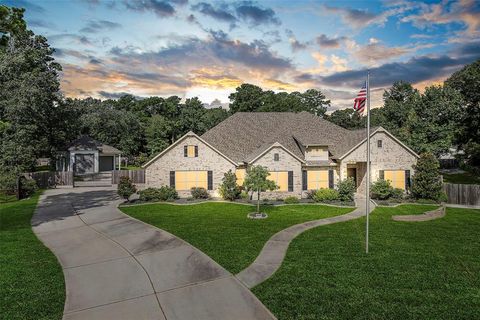 Single Family Residence in Magnolia TX 17447 Country Skies.jpg