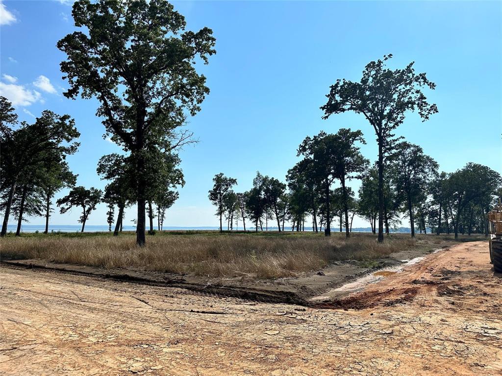 Lot 33 Island View Estates, Livingston, Texas image 7