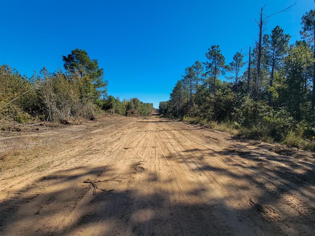 1 County Road 4204, Simms, Texas image 18