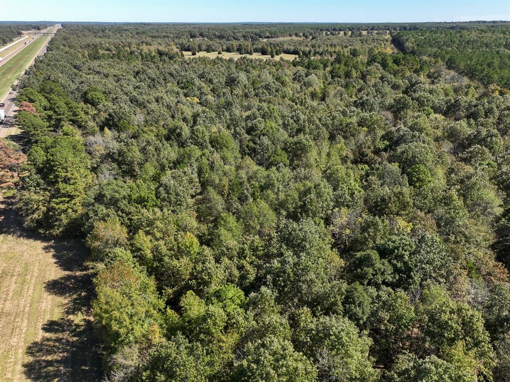 1 County Road 4204, Simms, Texas image 17