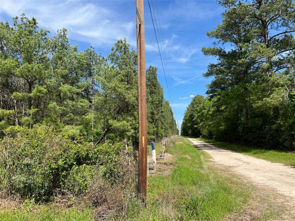 (Tract 1) 33 Eubanks Road, Bedias, Texas image 4