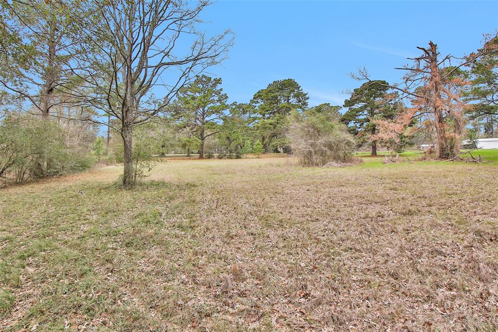 Lot 2 Paradise Point, Willis, Texas image 9