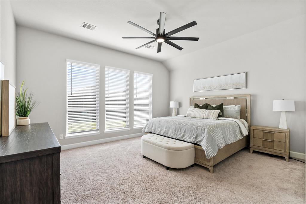 20806 Gray Percheron Lane, Tomball, Texas image 22