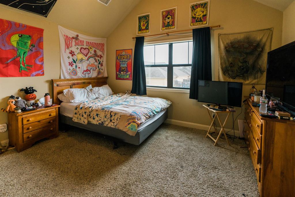 1427 Buena Vista Vis, College Station, Texas image 19