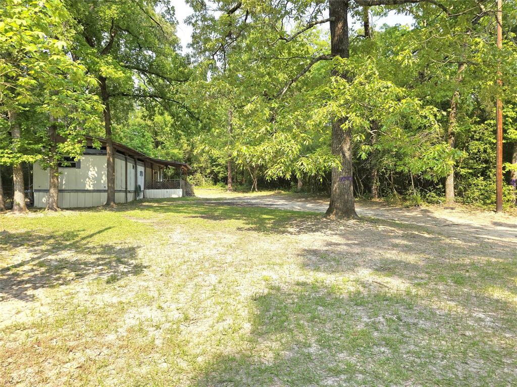 476 Indian Drive, Trinity, Texas image 1