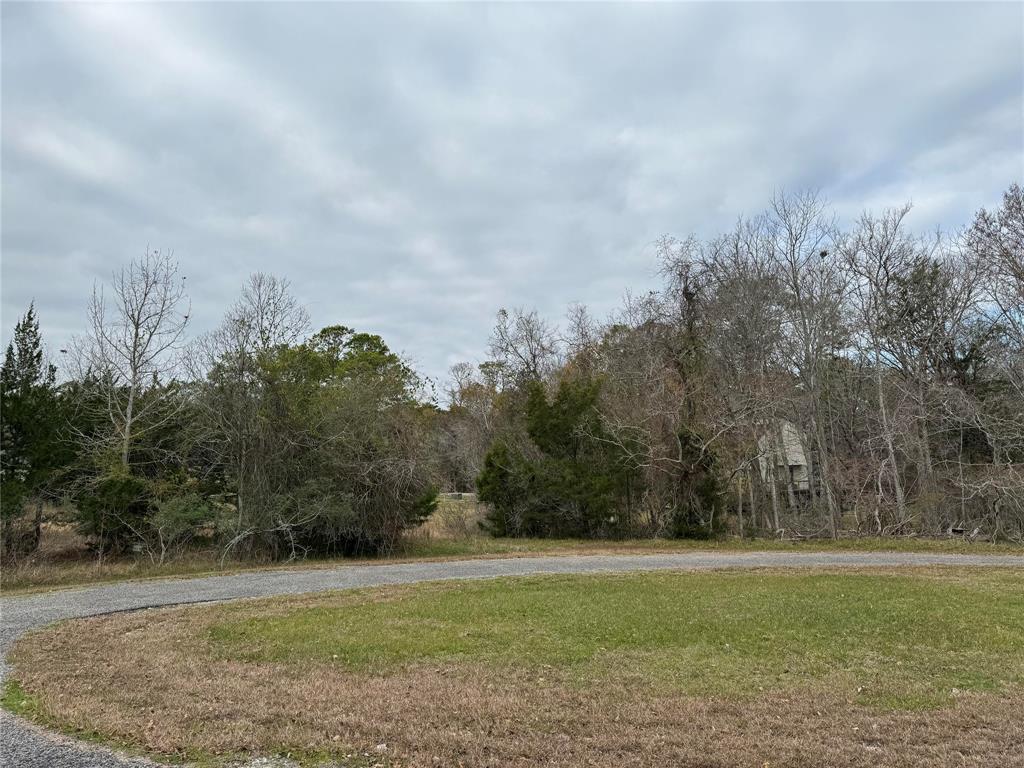 Lot 101 Elm Cove Circle, Coldspring, Texas image 3