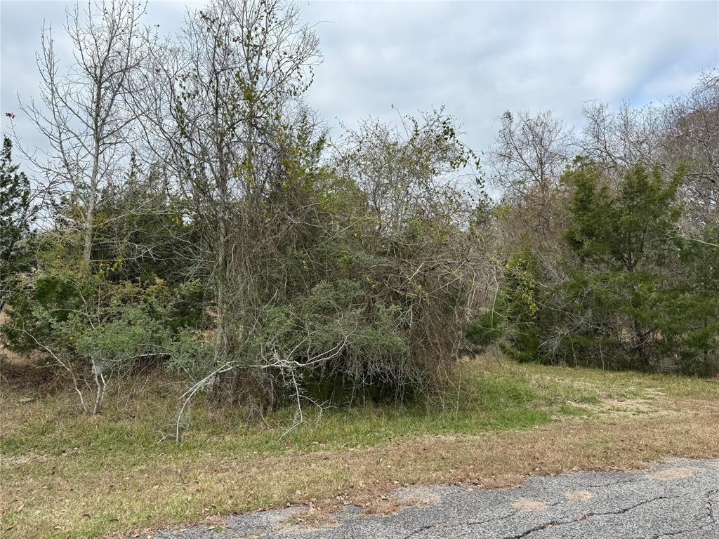 Lot 101 Elm Cove Circle, Coldspring, Texas image 1