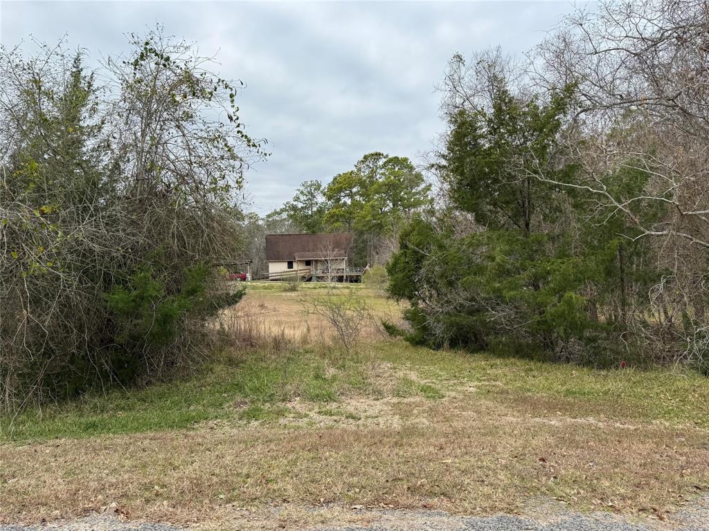 Lot 101 Elm Cove Circle, Coldspring, Texas image 2