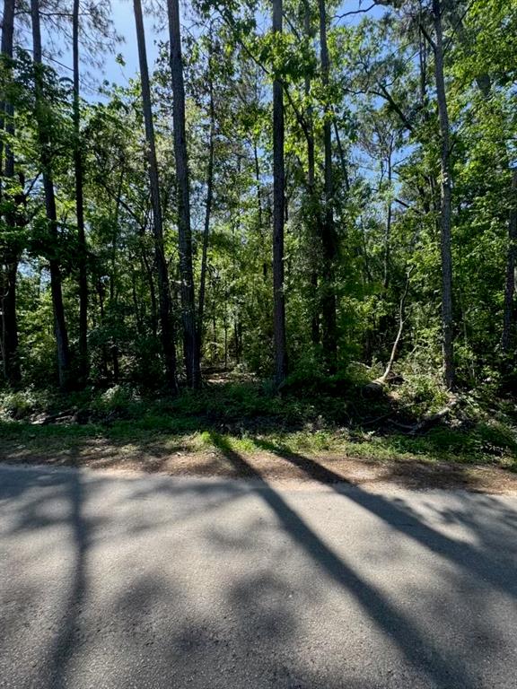 166 County Road 3475, Cleveland, Texas image 1