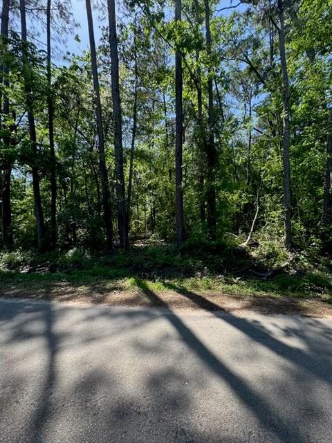 Photo of 166 County Road 3475, Cleveland, TX 77327 (MLS # 66969604)