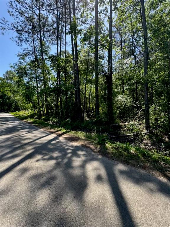166 County Road 3475, Cleveland, Texas image 2