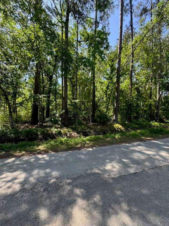 166 County Road 3475, Cleveland, Texas image 7