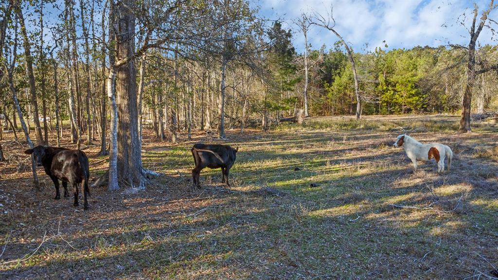 311 County Road, Cleveland, Texas image 47