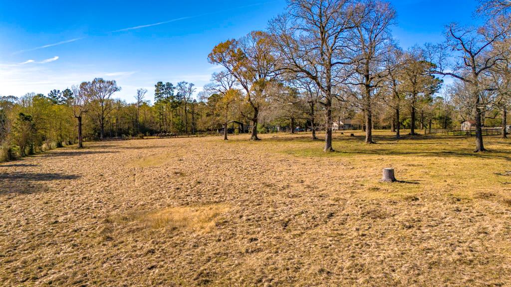 808 Castlewood Road, Livingston, Texas image 28