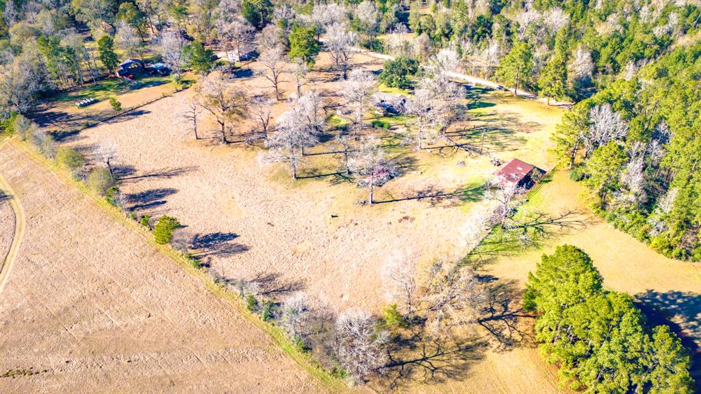 808 Castlewood Road, Livingston, Texas image 37