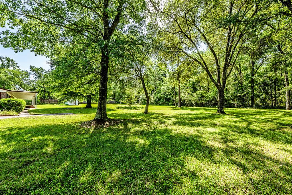 17 Briar Meadow Mdw, Huntsville, Texas image 26