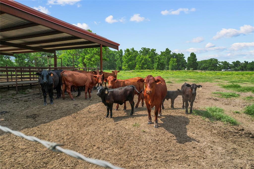 391 County Road 2010, Hardin, Texas image 9