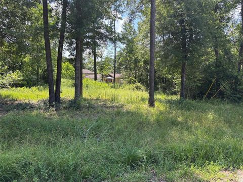 0 Indian Trails Willis TX 77378