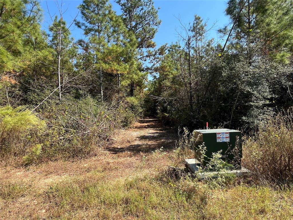 11723 Grand North Road, Willis, Texas image 7