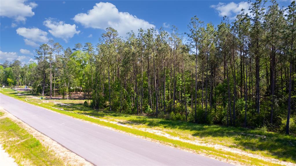 12868 Oak Barrel Road, Willis, Texas image 29