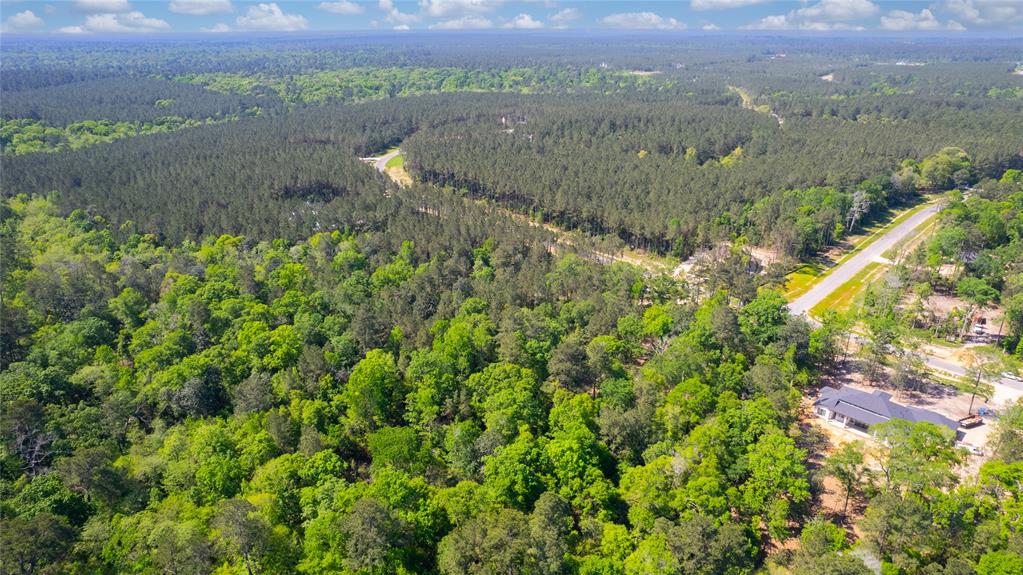 12868 Oak Barrel Road, Willis, Texas image 8