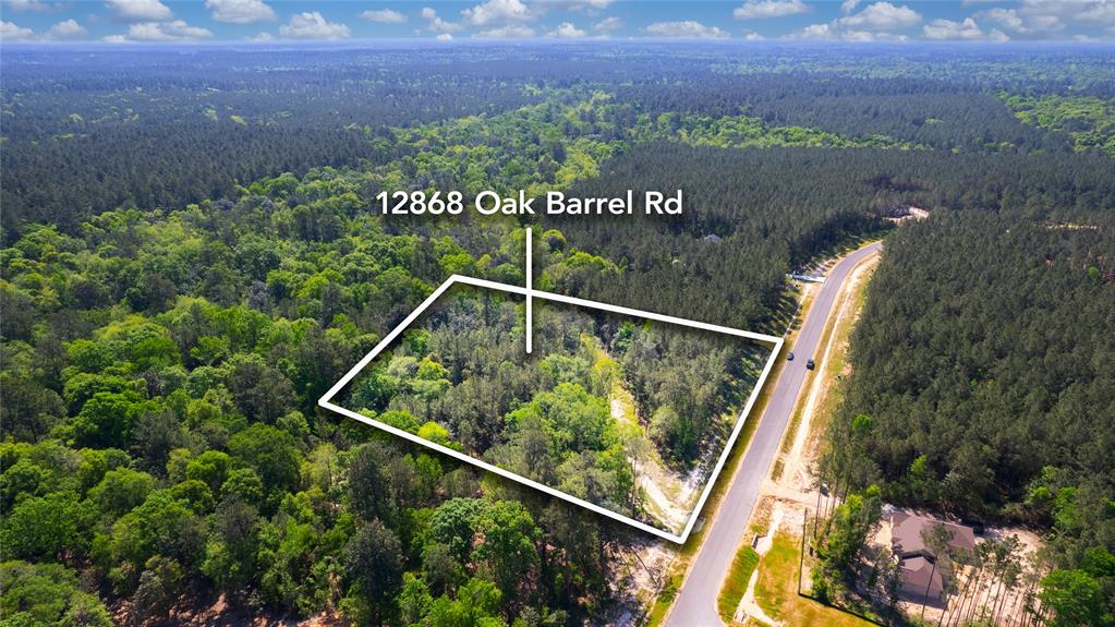 12868 Oak Barrel Road, Willis, Texas image 12