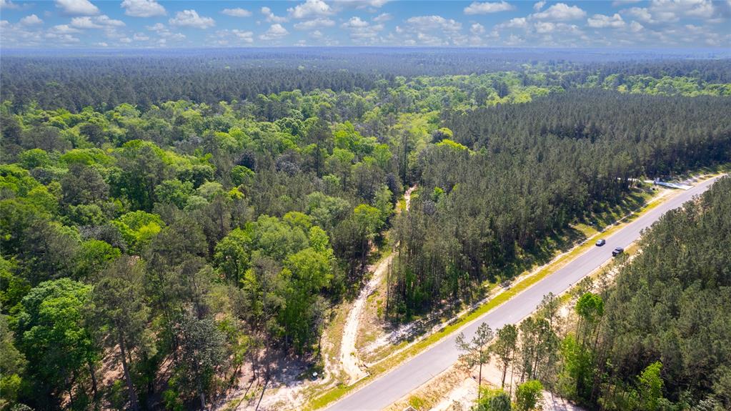 12868 Oak Barrel Road, Willis, Texas image 15