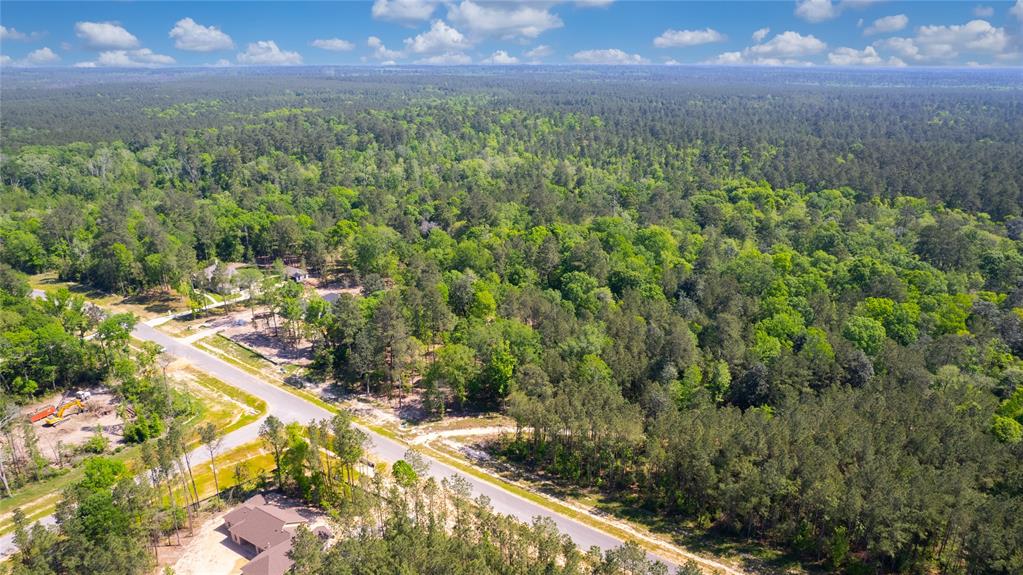 12868 Oak Barrel Road, Willis, Texas image 22