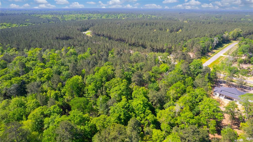 12868 Oak Barrel Road, Willis, Texas image 9