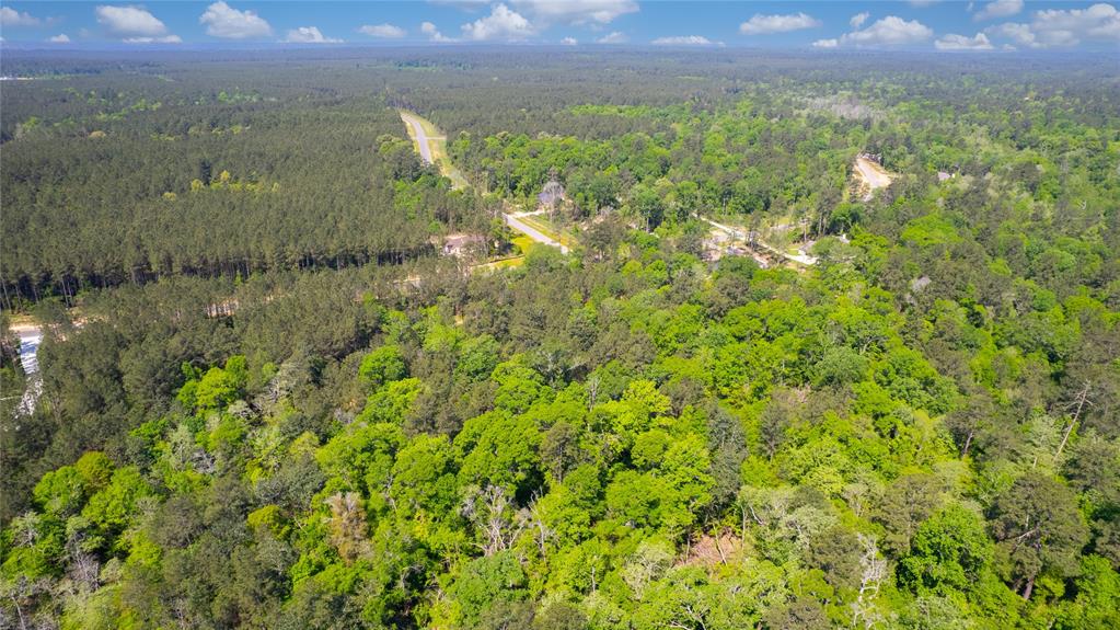 12868 Oak Barrel Road, Willis, Texas image 2