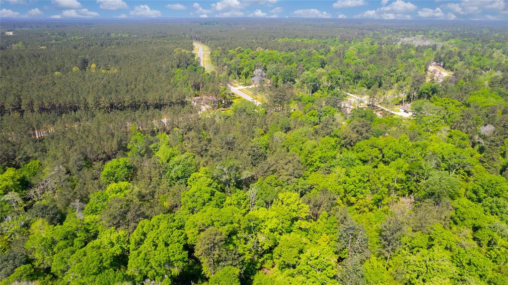 12868 Oak Barrel Road, Willis, Texas image 1