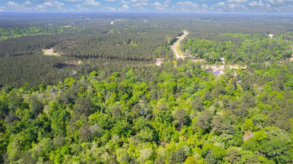 12868 Oak Barrel Road, Willis, Texas image 6