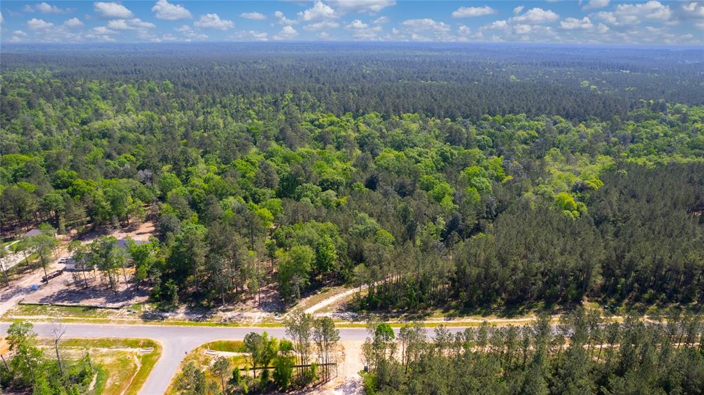 12868 Oak Barrel Road, Willis, Texas image 18