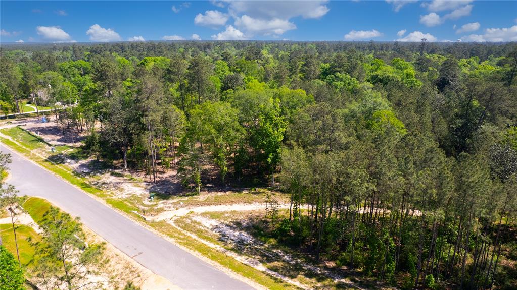 12868 Oak Barrel Road, Willis, Texas image 24